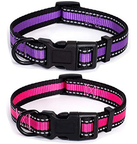 Collar De Perro Mile High Life | Raya Reflectante De 3 M Con 0