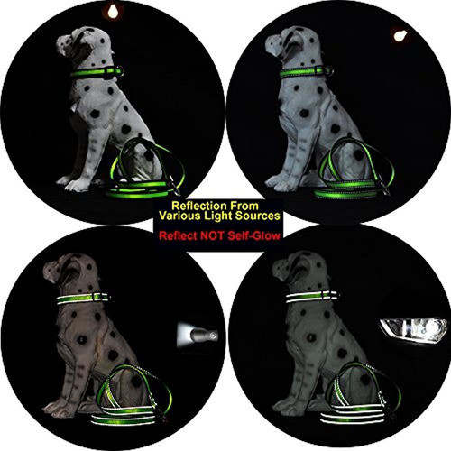 Collar De Perro Mile High Life | Raya Reflectante De 3 M Con 1