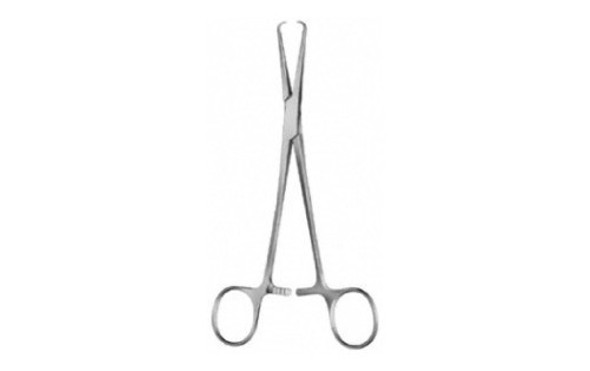 Pinza Pozzi 25cm Duke Acero Inoxidable 0