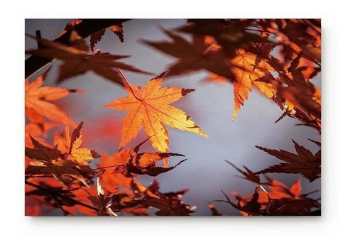 Cloud Dream Home - Alfombrilla De Puerta Para El Otoño, D 0