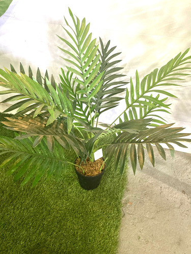 Planta Artificial 60cm Palmera 1
