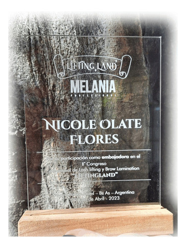 Trofeos Premios En Acrílico Personalizados 0