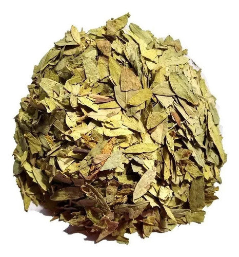 Hojas De Sen 150grs Promo Lleve 3 Pague Solo 2 1
