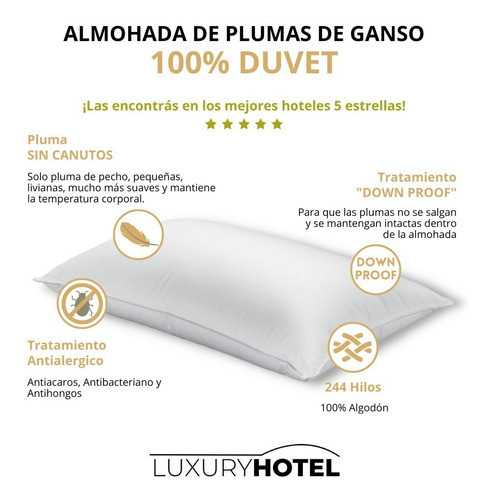 Almohada De Plumas 100% Duvet 50x70 750 Gramos Premiun 1