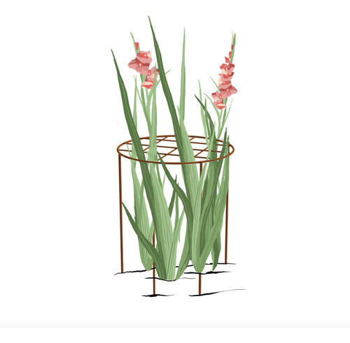 Tutor Rejilla En Hierro Macizo P/ Jardín Herbáceas En Óxido 1