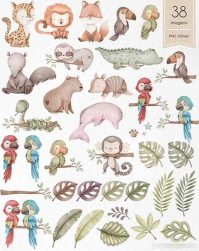 Kit Imagenes Png Animales Fauna Brasil Selva Acuarela Ni31 1