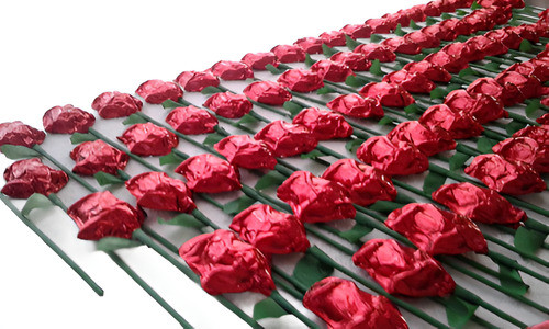 Rosas De Chocolatede Dia De La Primavera Dia De La Madre 0