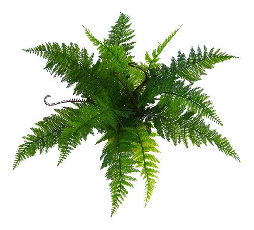 Samambaia De Plástico Siliconado Planta Artificial - 6 Un. 0