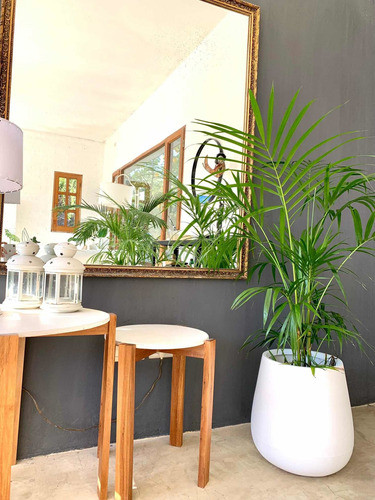 Gota Malbec Rotomoldeo Palmera Deco Tropical Oficina Living 1