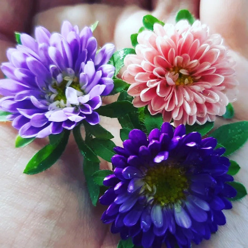 Petalos De Flores Comestibles Organicas 1