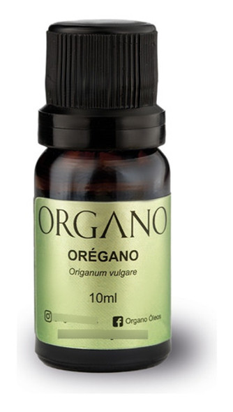Óleo Essencial De Orégano -  Puro E 100% Natural 0 Óleo Essencial De Orégano -  Puro E 100% Natural 0