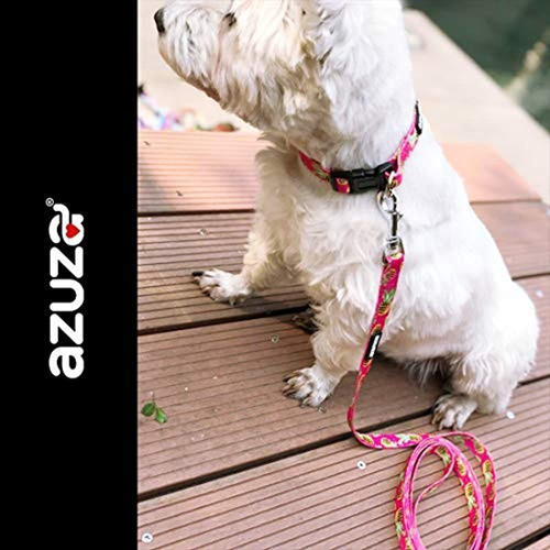 Conjunto De Collar Y Correa Para Perros Azuza, Bonitos Patro 1
