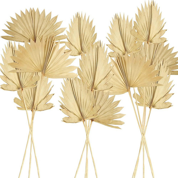 Chenkaiyang 30 Piezas Grandes Hojas Palma Secas Decoración 0