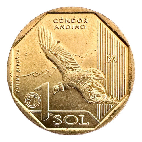 Peru - Condor Andino - Fauna Silvestre 1 Sol 2017 1