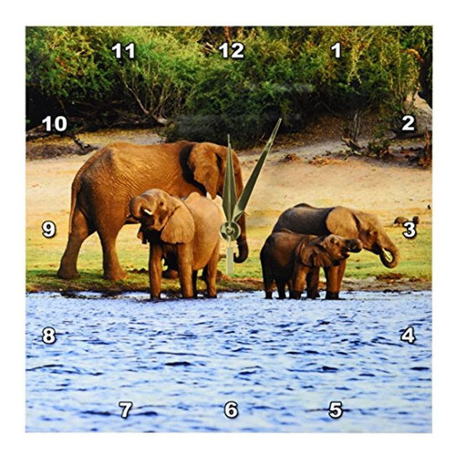 Danita Delimont  Elefantes  Elefante Africano Parque Naciona 0