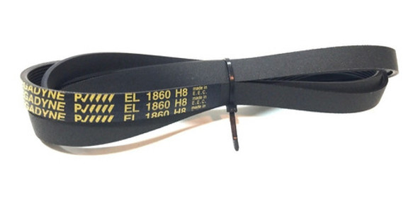 Correa Secarropas Ariston E Indesit 1860 As60v As 600v Ls60v 1 Correa Secarropas Ariston E Indesit 1860 As60v As 600v Ls60v 1