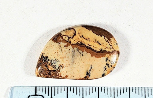 Jaspe Pictórico Cabujón Lote 129 0