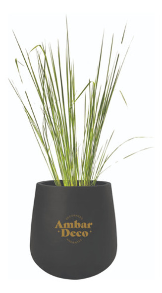 Paspalum Quadrifarium Planta Nativa + Maceta Malbec Deco 0 Paspalum Quadrifarium Planta Nativa + Maceta Malbec Deco 0