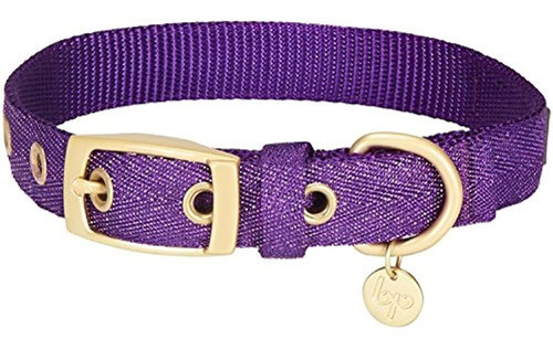 Blueberry Pet Pack Of 1 El Collar De Perro De Hilo Metalico 0