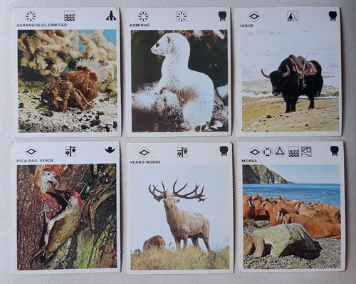 Cartas Colecionáveis Animais. Fichas Colecionaveis Kit C/ 3 1