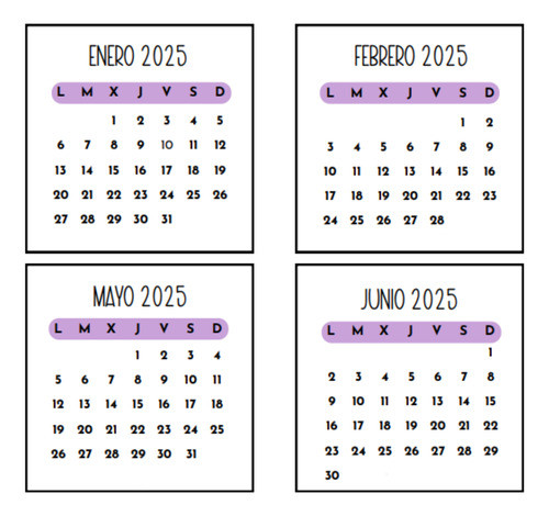 Kit Imprimible Calendario Mensual Mini Estilo Mignon 2025 1