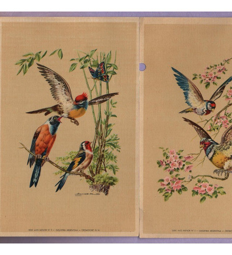 0550_lote De 9 Tarjetas Postales 0