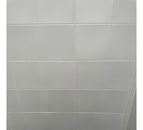 Placa Termoformada Liso X4. 0