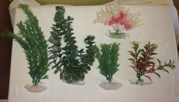 2 Plantas Para Pecera Plástica A Elección 1 2 Plantas Para Pecera Plástica A Elección 1