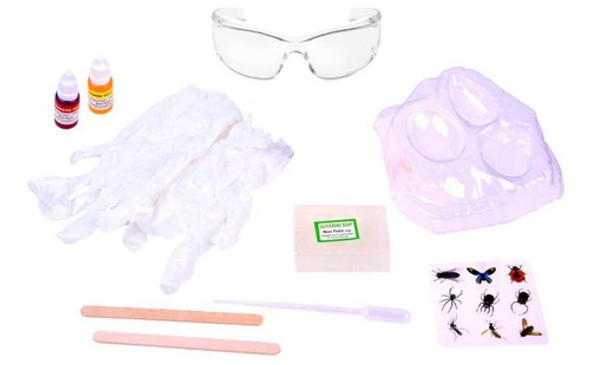 Juego De Experimentos Didacta Conservación En Rocas Oferta 1