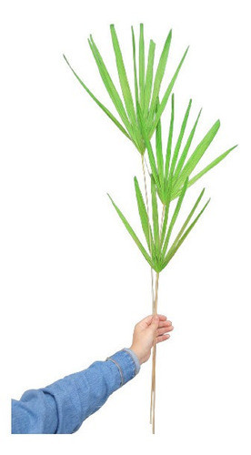 3 Galhos De Rafis Pintado De Verde Decoração Enfeite Natural 0