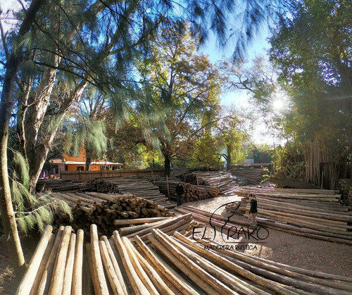 Poste Palo Eucalipto Impregnado Cca 5m Ø14-16cm Tratado 1