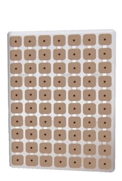 Auriculoterapia - Semillas De Vaccaria - Cinta Microporosa 0