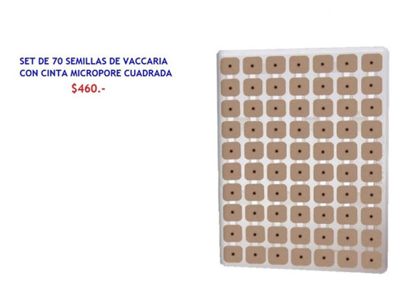 Auriculoterapia - Semillas De Vaccaria - Cinta Microporosa 1