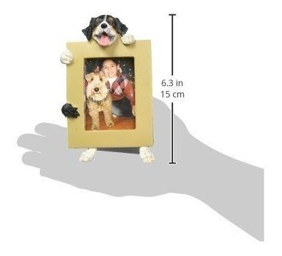 Perro De Montaña Bernés 25 X 35 Perro Marco De Fotos 1