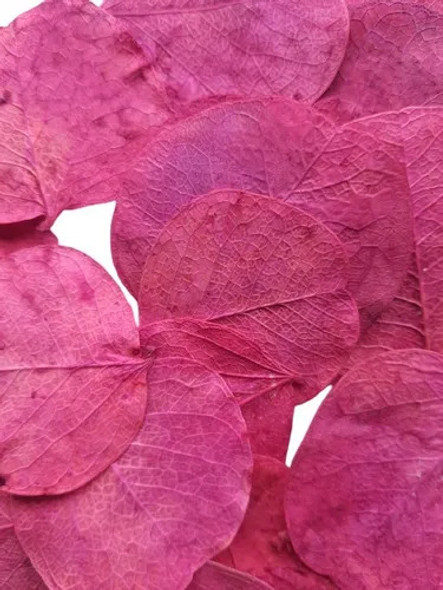 Folhas Secas Rosa Pink Decoração Ornamentação-350 Folhas 1