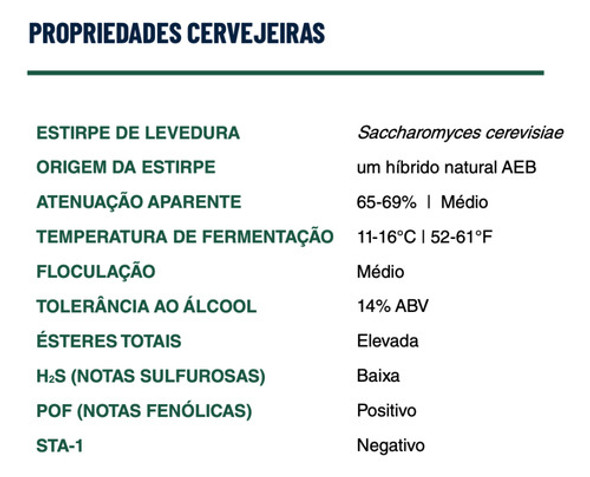 Fermento Aeb Fermo Brew Berry Sachê 11,5g 1