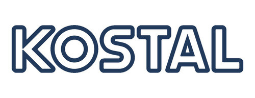 Tecla Cierre Centralizado Kostal Ex13861 1