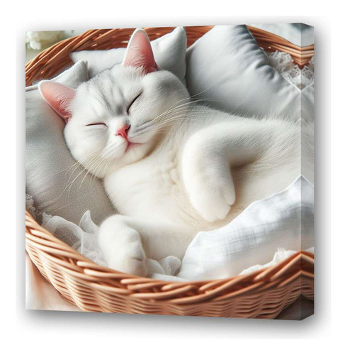 Cuadro 45x45cm Gata Blanca Durmiendo En Canasta Mimbre 0