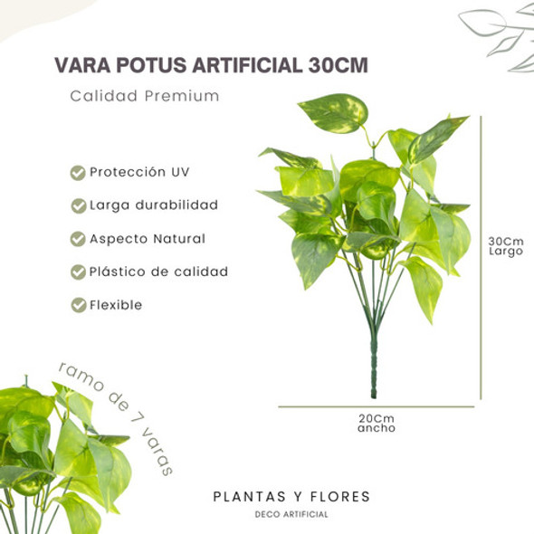 Planta Potus Vara Artificial 30cm Calidad Premium 1