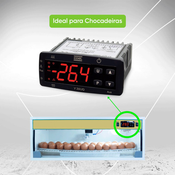 Controlador Digital Para Chocadeira Coel Y39uhqr Termostato 1