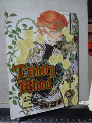 Mangá Hqs Trinity Blood Nº 13  Kiyo Kyujyo 0