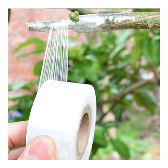 Fita Para Enxertia 6cm X 100m ( Rosa Do Deserto E Plantas) 1
