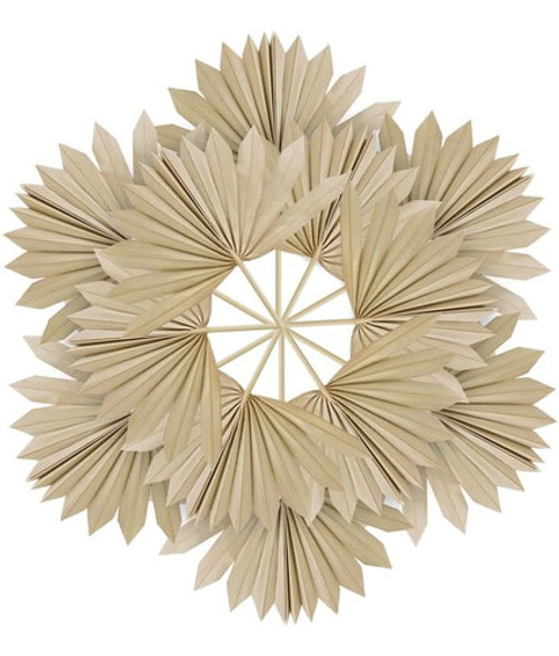 Xlsxexcl 10 Piezas Hojas Palma Secas, Decoración Hojas Palma 0