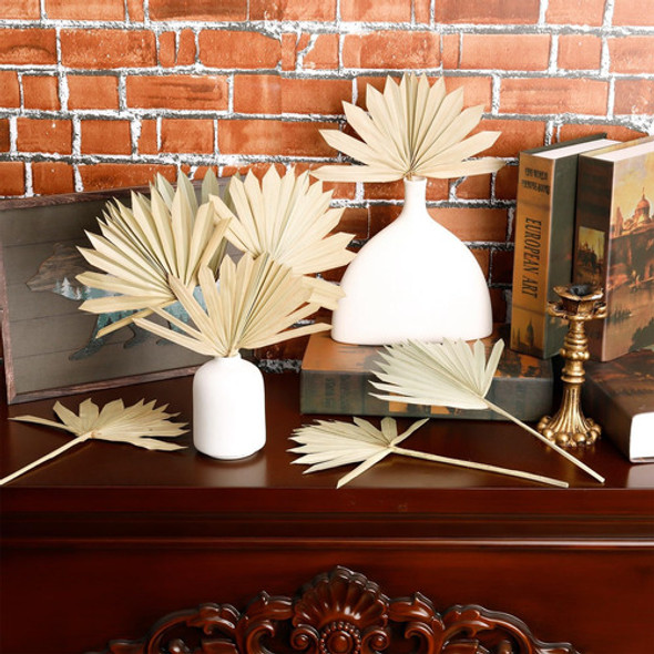 Xlsxexcl 10 Piezas Hojas Palma Secas, Decoración Hojas Palma 1