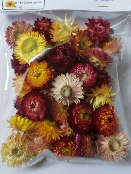 Flores Secas Siemprevivas X 30 Unidades 0