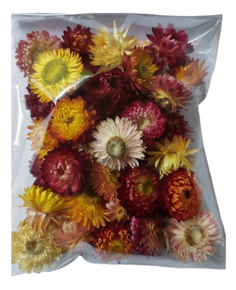 Flores Secas Siemprevivas X 30 Unidades 0