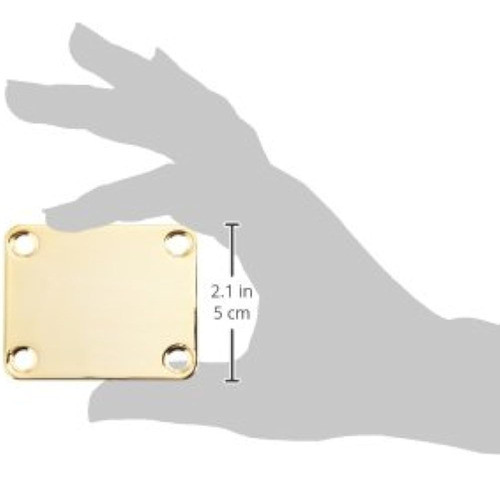 Guardabarros 4 Tornillos Cuello Placa Oro 1