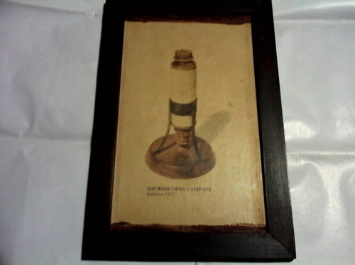 Microscopio Campani -italiano-1673-lamina Mas Marco-antiguo- 0