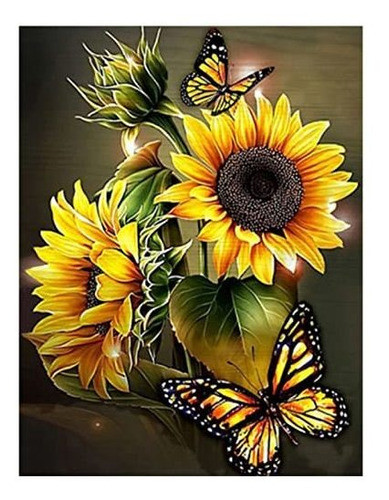Pintura Por Diamantes Kit Completo 30x40cm -9pfq83np 0