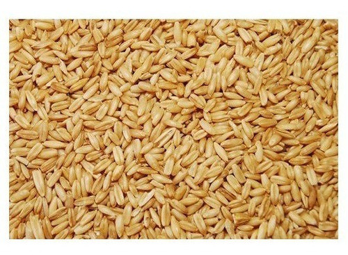 Avena Pelada X 25kg. Aves, Pájaros 0